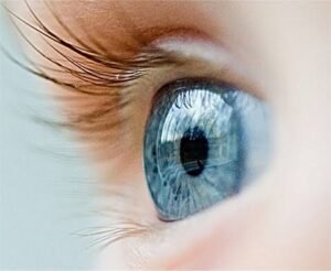 Retinitis Pigmentosa