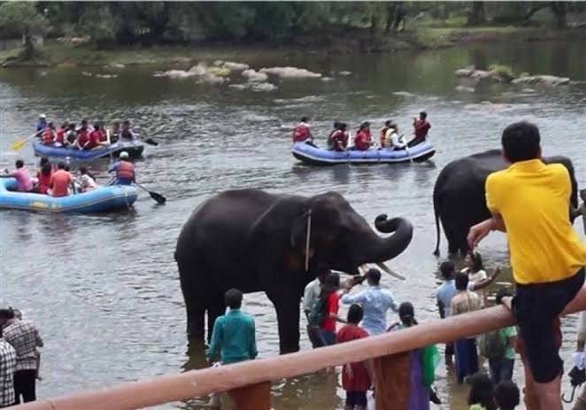 Dubare Elephant Camp