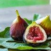 Figs